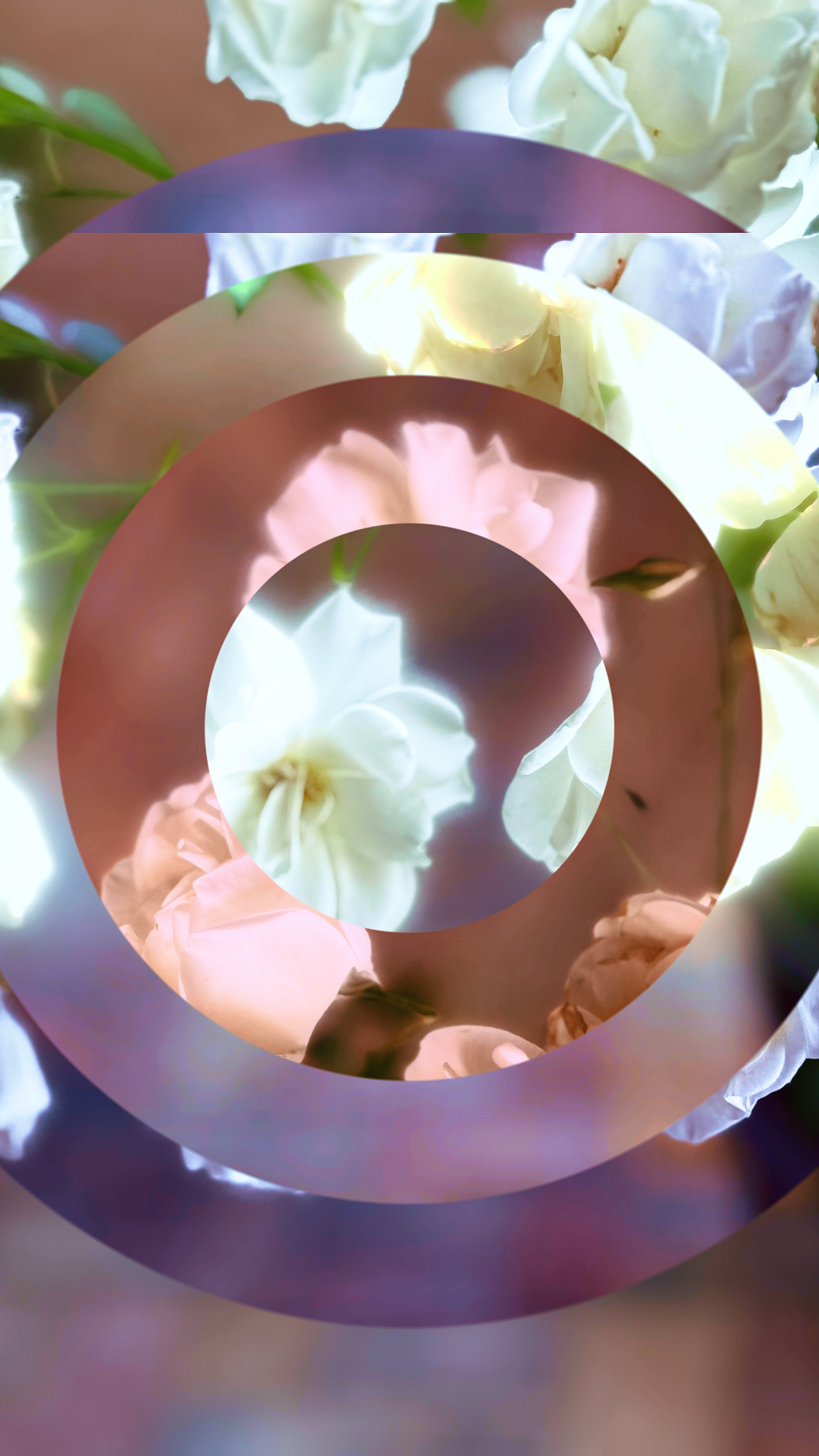 Magia circular 🪄 👍🏻