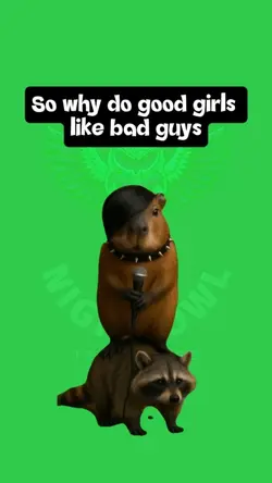 Good girls like bad 