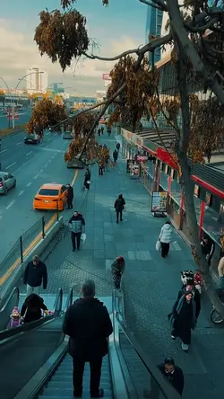 4 video clips