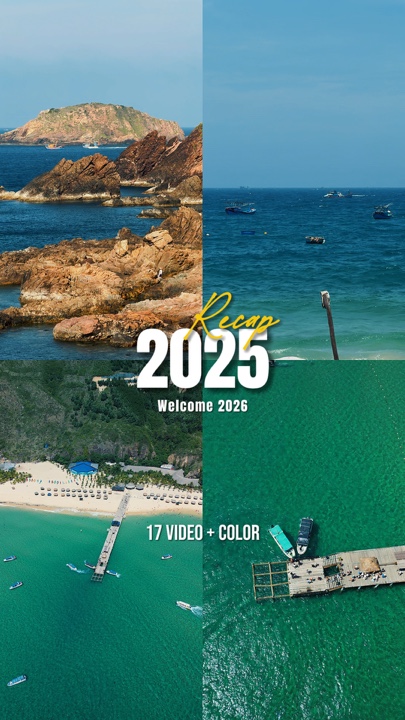 Resumen năm 2025