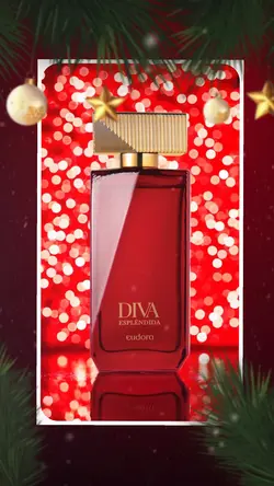 9 FOTOS DIVULGAÇÃO 