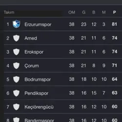 Erzurumspor ligde