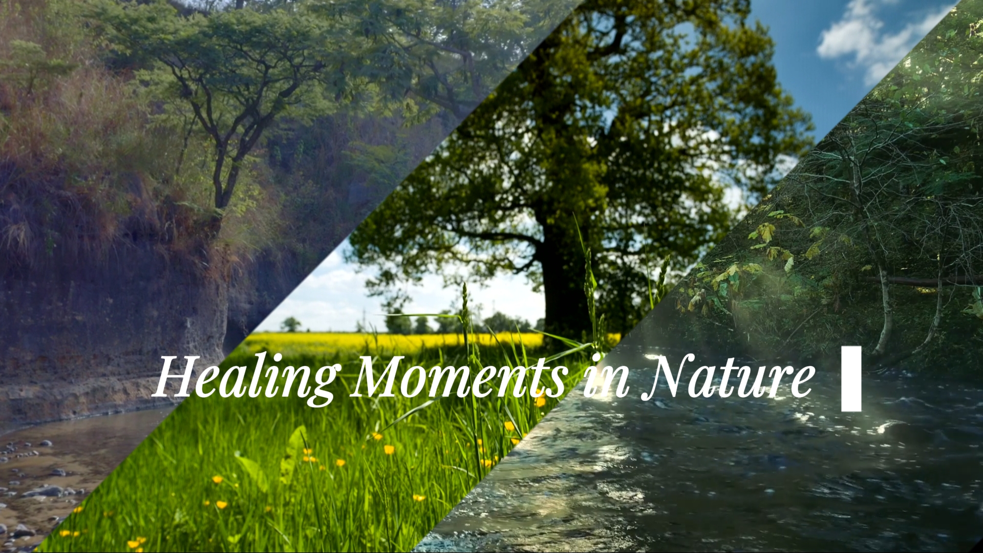 Nature Diary Templat