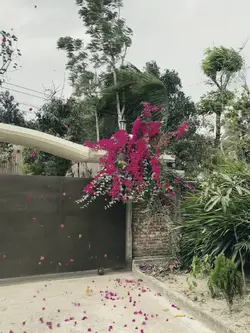 Slowmo template vide