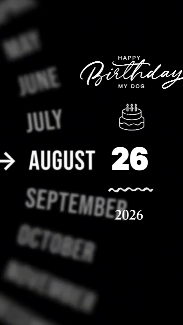 BDAY DOG 26 AUGUST