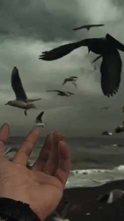 Chal ur ja re panchi