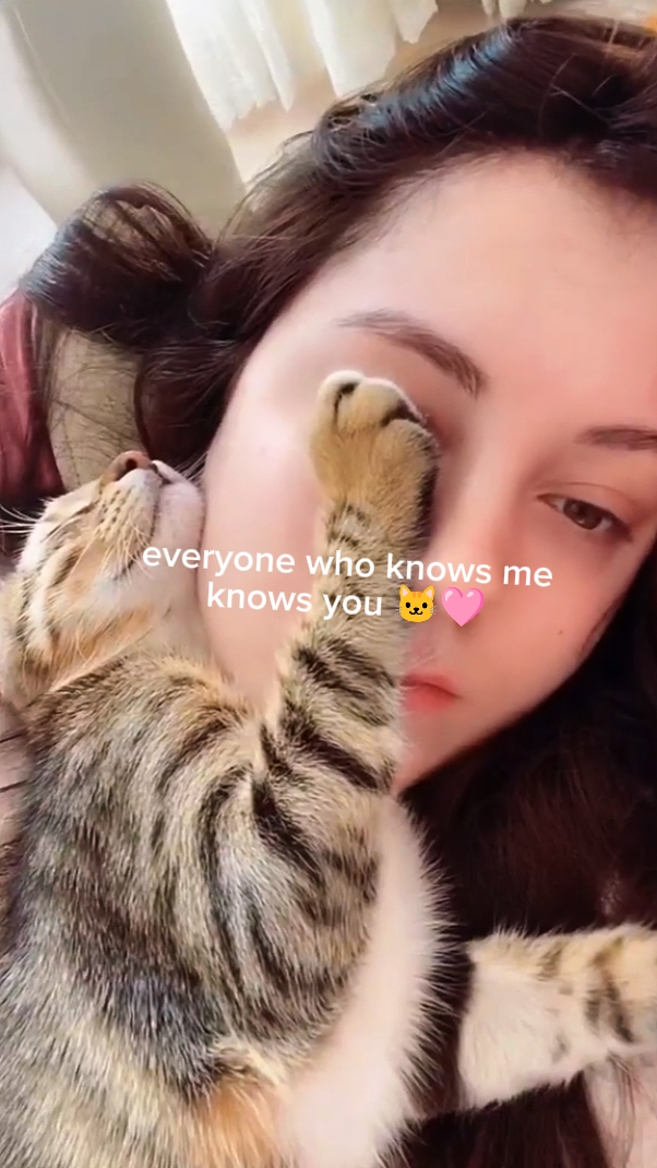 Cat Diaries