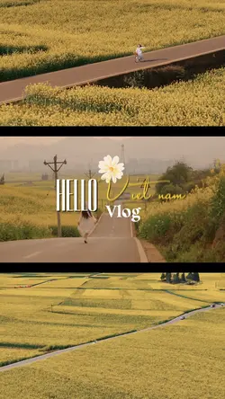 Vlog- Hello Viet Nam