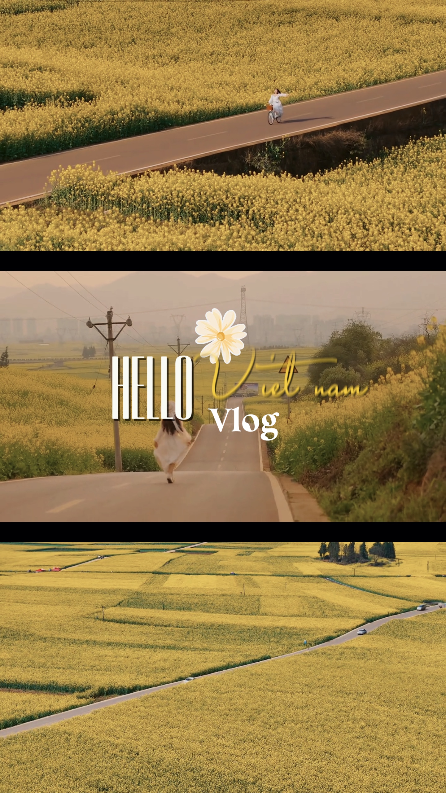 Vlog- Hello Viet Nam