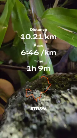 strava trend