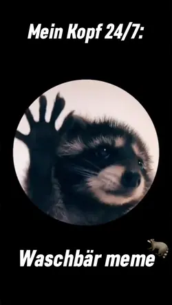 Pedro Waschbär meme