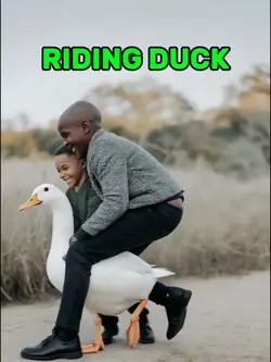 riding duck