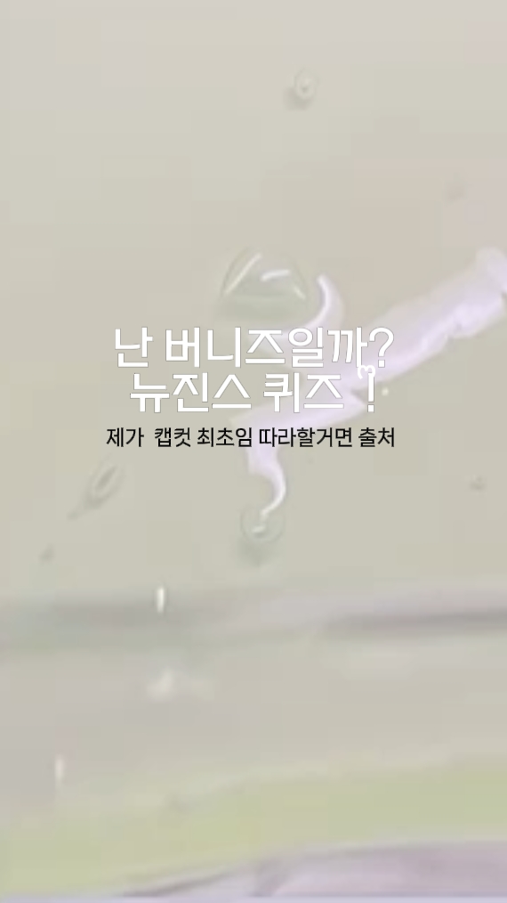 난 버니즈일까? 뉴진스퀴즈