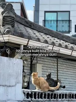 hitam tapi berduit