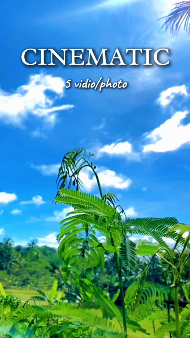 5 vidio cinematic