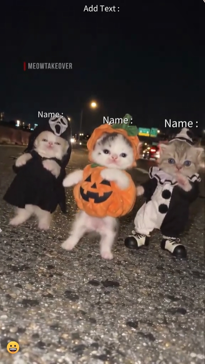 Dance Cat Trend 