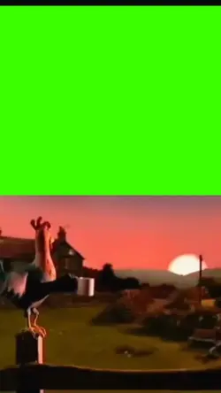 chicken screming 