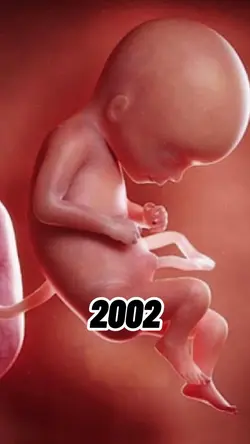 2002 vs 2026 > Try