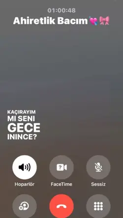 Kaçırayım mı seni?