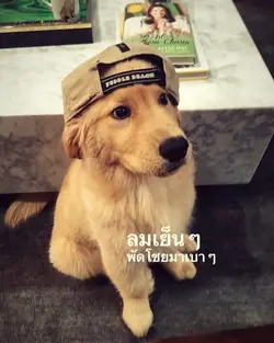 มานอนนาเด้อ