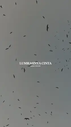 Cinta Sepi