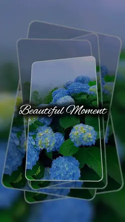 Garden Bloom