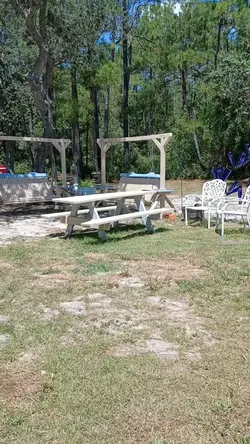 my garden of flowers