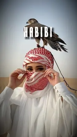 HABIBI