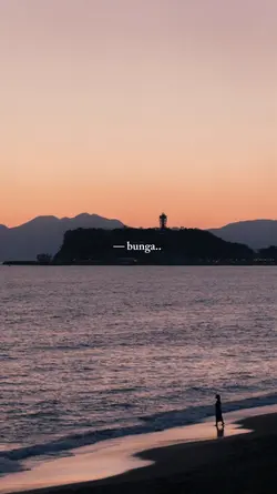 bunga di bulan sepi