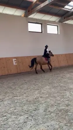 3 dzień obozu rolka