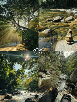 Nature trip 🍃