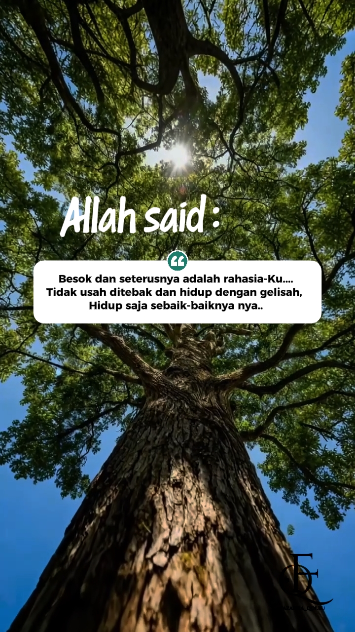 Allah sagte: