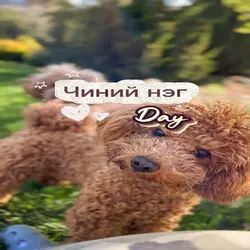 Чиний нэг өдөр 🌟