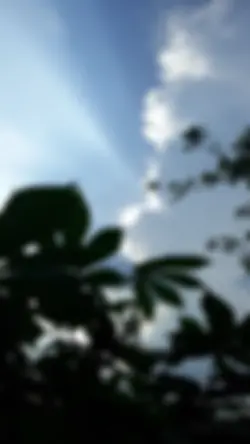 มนต์รักมีโอ