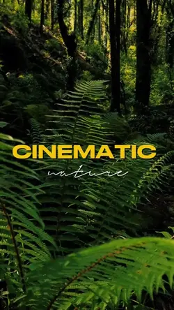 cinematic