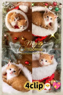 MerryChristmas/4clip