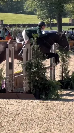 Equestrian💓| SLOMO 🔆