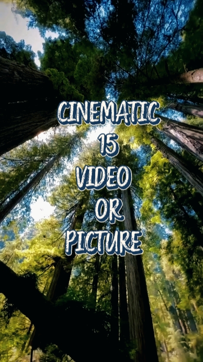 Cinematic 15 Video 
