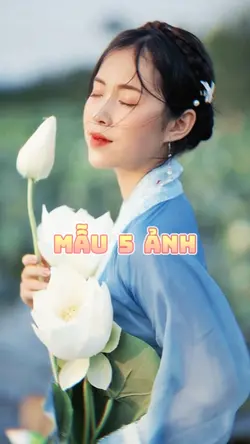 Mẫu 5 Ảnh