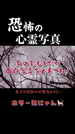 キョウフヲタイケンセヨ…💀