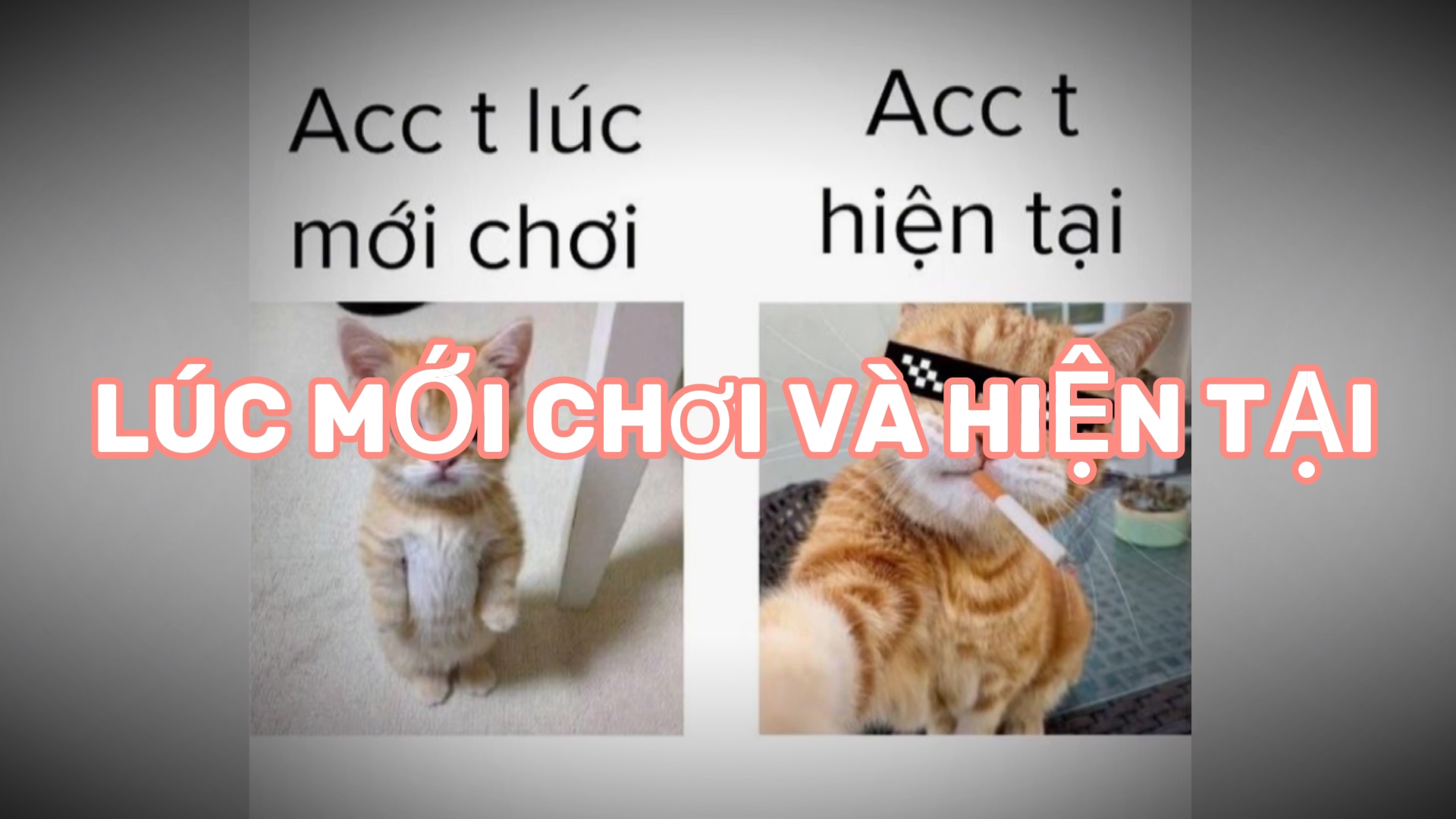 mẫu 2 ảnh