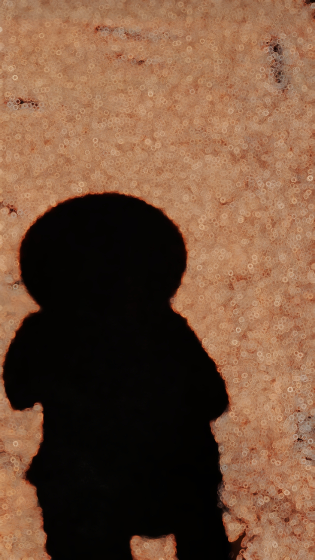 SHADOW SLOWMOTION