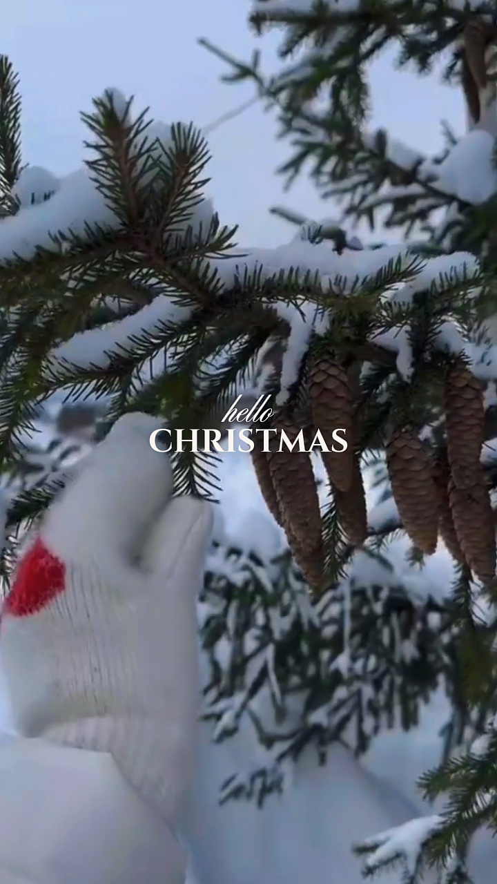 OLÁ NATAL 