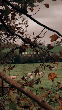 autumn visual diary 