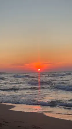 Sunset vibes