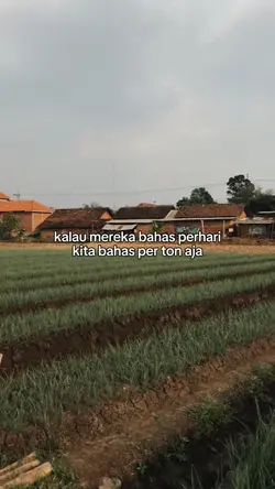 bahas perton