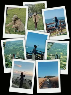 8Pic Clip Transition