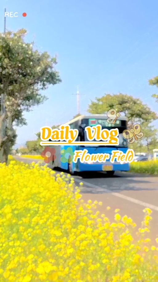 Vlog | Campo de flores