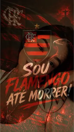 Torcida fla 