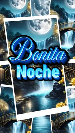 Bonita noche 